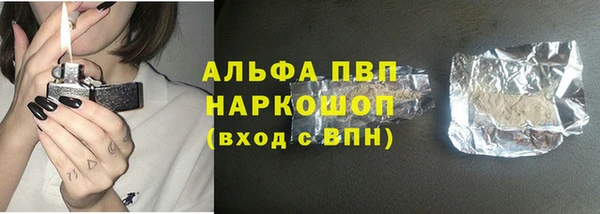 PSILOCYBIN Кинешма