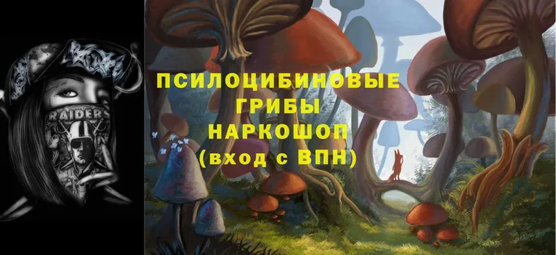 площадка состав  hydra ссылка  Новокузнецк  Галлюциногенные грибы Magic Shrooms 