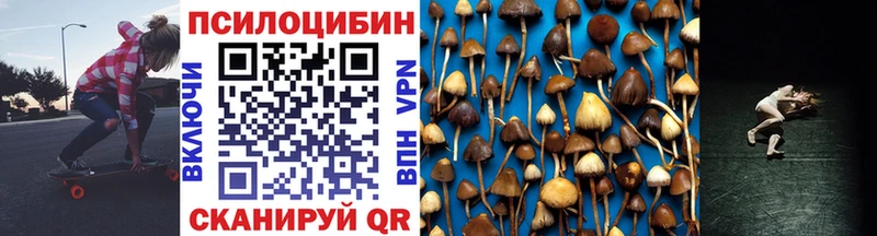 где купить наркоту  Новокузнецк  Псилоцибиновые грибы GOLDEN TEACHER 