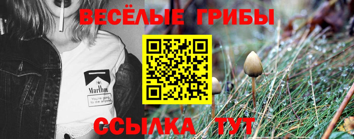 Галлюциногенные грибы Cubensis Новокузнецк
