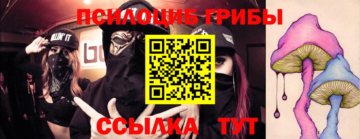 Псилоцибиновые грибы Psilocybine cubensis  Галлюциногенные грибы мухоморы  Новокузнецк  Вход с VPN 
