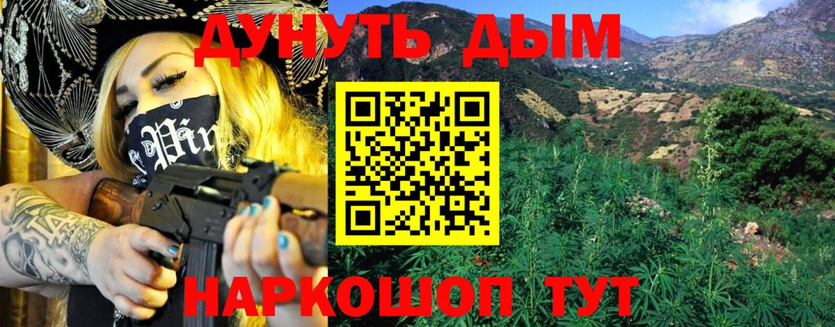 Конопля конопля Новокузнецк